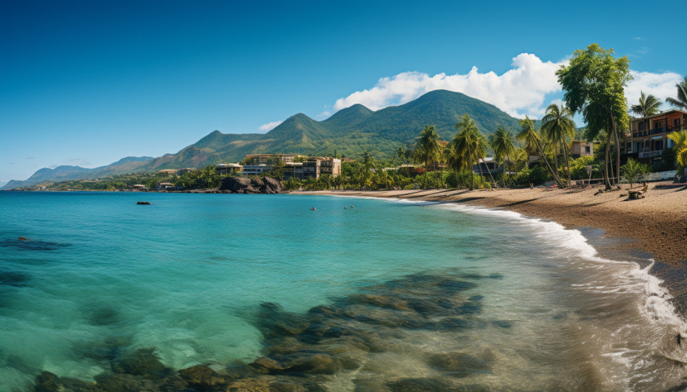 International - La Martinique : destination idéale pour se détendre